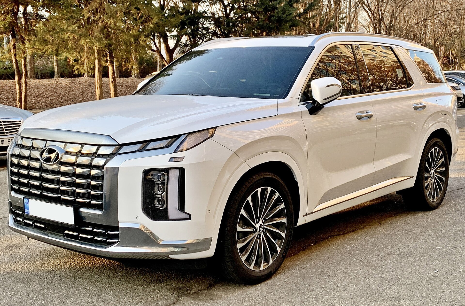 Hyundai Palisade 3
